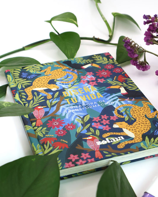 Bitácora "Diseña tu Vida" (PREVENTA)