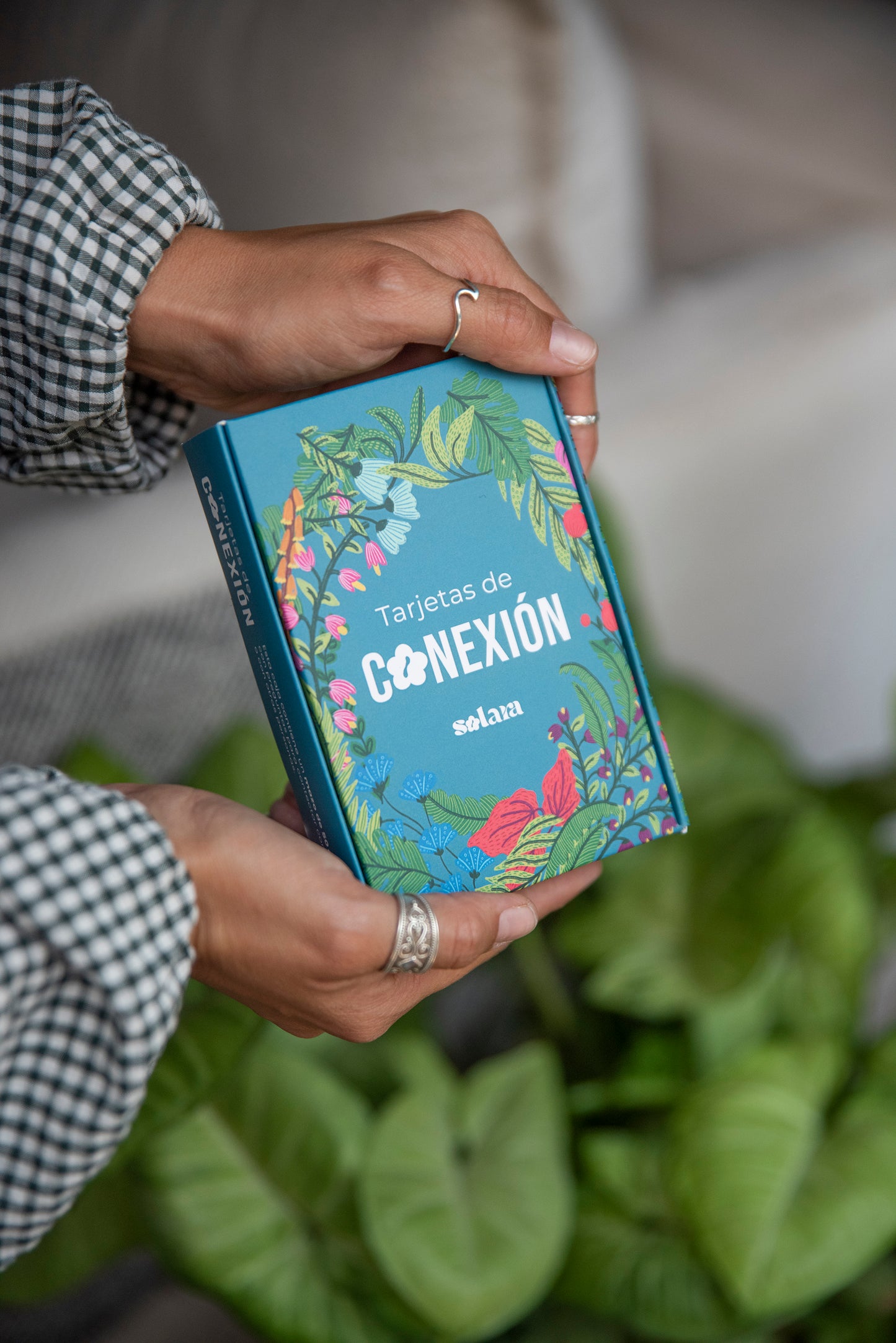 Tarjetas de Conexión